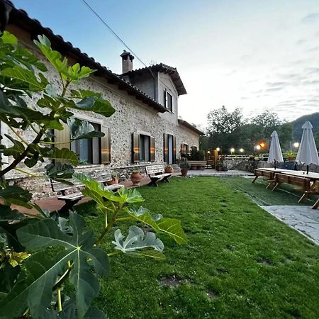 Spacious House In Ogassa With Terrace And Bbq Zewnętrze zdjęcie